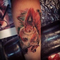 fresco scoiattolo tatuaggio su braccio