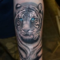Cooles Tattoo vom Tigerkopf mit blauen Augen