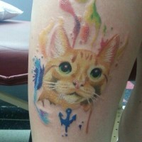 Tatuaggio colorato sulla gamba la faccia carina del gatto