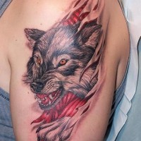 Tatuaje en el brazo,
lobo loco en la piel rasgada