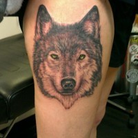 Tatuaje en el muslo, retrato de lobo con ojos amarillos