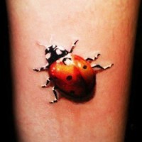 Crawling ladybug tattoo on arm