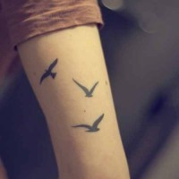 creativo inchiostro nero liccoli uccelli tatuaggio