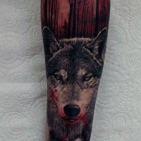 Gruselig aussehendes im Realismus Stil farbiges Unterarm Tattoo mit blutigem Wolf im dunklen Wald