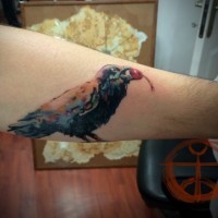 Tatuaggio colorato sul braccio il corvo con la ciliegia