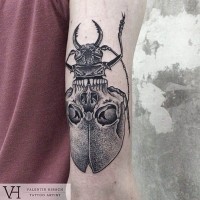 carino come meta cranio meta insetto tatuaggio su braccio
