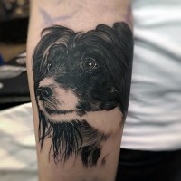 Nettes 3D realistisches Porträt  des Hundes schwarzes und weißes Tattoo am Arm