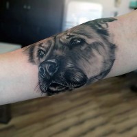 Tatuaje en el antebrazo, retrato de perro hermoso realista