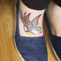 carino uccello colorato tatuaggio su piede di donna