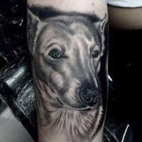 Tatuaje en el antebrazo, retrato de perro encantador