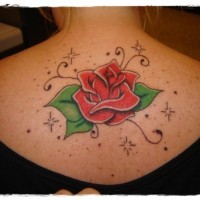 Netter Cartoon-Stil gemalte und farbige Rose Tattoo am oberen Rücken