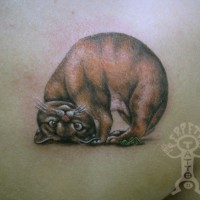 Tatuaggio realistico sulla spalla il gatto carino