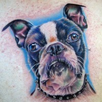Netter farbiger Hund Tattoo