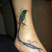 Süßes Design Tattoo von einem Vogel auf dem Fuß für Mädes