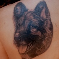 Cute german shepherd tattoo on shoulder