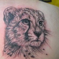 Tattoo mir süßem Gepardenkopf  in Grau auf dem Schulterblatt