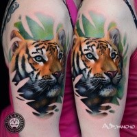 Cute illustrative style shoulder tattoo of tiger head