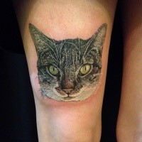 Cute lifelike colored thigh tattoo of big cat head
