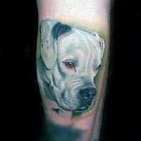 Cute little colored dog portrait tattoo on leg