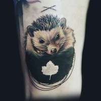 Cute little colored hedgehog with maple leaf tattoo on arm