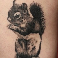 Cute little ink squirrel tattoo with shadows