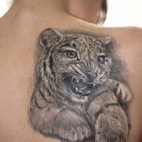 Tattoo mit kleinem nettem Tiger am Rücken