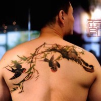 Cute looking colored upper back birds tattoo