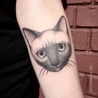 Tatuagem de antebraço de vista bonito do retrato de gato de estilo de ponto