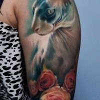 Cute realistic looking shoulder tattoo of nice cat with roses