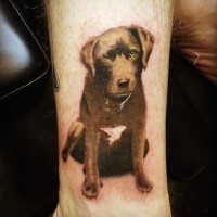 Netter realistischer natürlich gefärbter Hund Tattoo