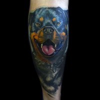 Tatuaje en la pierna, retrato de Rottweiler encantador