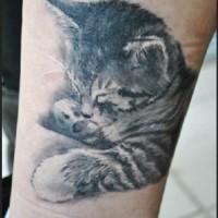 Tatuaje en el tobillo, 
gatito pequeño realista