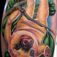 Tatuaggio colorato il bradipo carino sul ramo