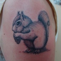 Cute squirrel tattoo on shoulder