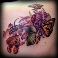 Entwicklungszyklus des Schmetterlings Tattoo