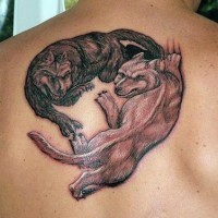 Tatuaggio grande sulla schiena lupo nero e lupo bianco che ballano