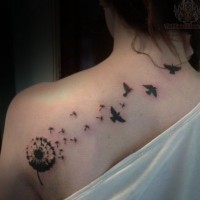 Dandelion puffs and birds tattoo on upper back