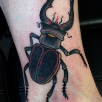 Dark color bug tattoo on ankle