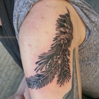 Dark ink pine tree branch with pine cone tattoo on shoulder