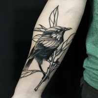 Demonic estilo dotwork pintado por Michele Zingales tatuagem antebraço de pássaro bonito com galho de árvore
