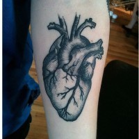 Detailed black gray anatomical heart forearm tattoo