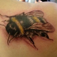 Detailed bumblebee tattoo on shoulder