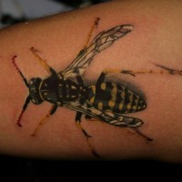 Detailed colorful bee tattoo on arm