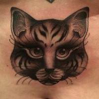 Detailed portrait of cat tattoo on stomach