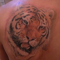 Detailliertes Tattoo mit Kopf des Tigers am Schulterblatt