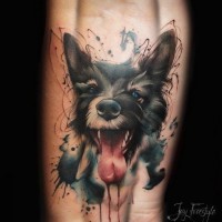 Hundekopf Tattoo auf dem Arm von Jay Freestyle