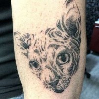 Tatuaje en el brazo,
 cara de gato egipcio, estilo dotwork