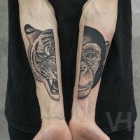 Dot style large forearms tattoo of split monkey head with roaring tiger