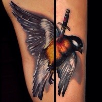 Dramatic realism style colored dead bird killed by dagger