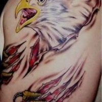 Tatuaje en el pecho, águila que rasga la piel